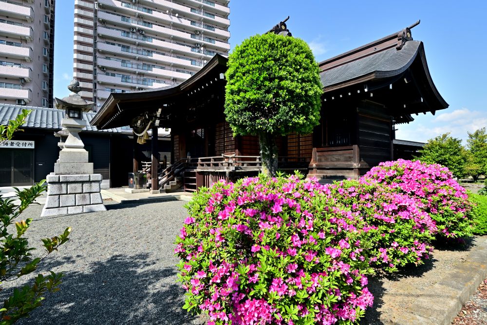 厚木神社の写真