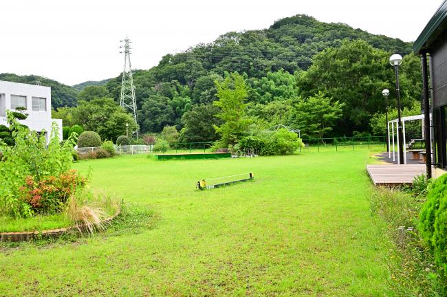 青空と大地七沢温泉食の市の屋外スペースの写真