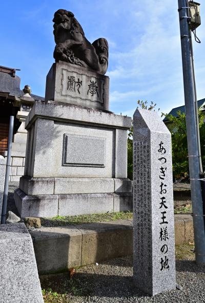 厚木神社の写真
