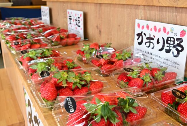 商品写真