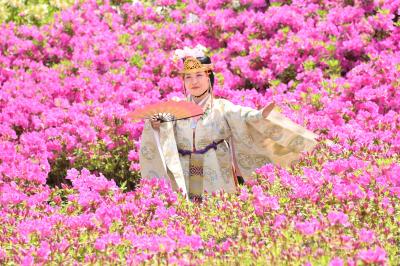 相模里神楽垣澤社中の写真