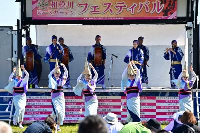 相模川ローズガーデンフェスティバルの写真