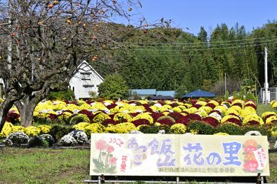 飯山花の里のザルギク