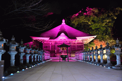 本堂ライトアップ