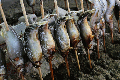 アユの塩焼き