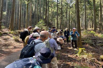 森の自然観察会