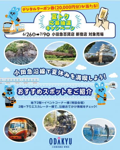 夏トク