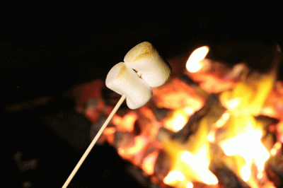 びぎなーずきゃんぷ2026　３