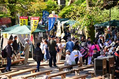 あつぎ七沢森のまつりの写真