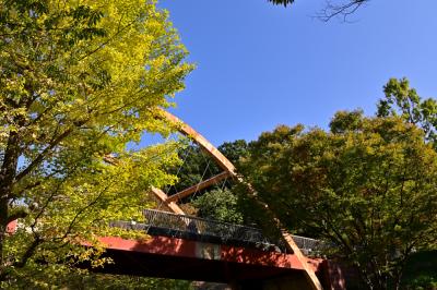 若宮公園・森の里の街路の紅葉の写真