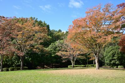 若宮公園の写真