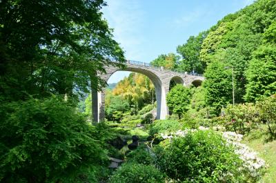 県立七沢森林公園の写真