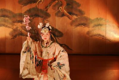 相模里神楽垣澤社中の写真