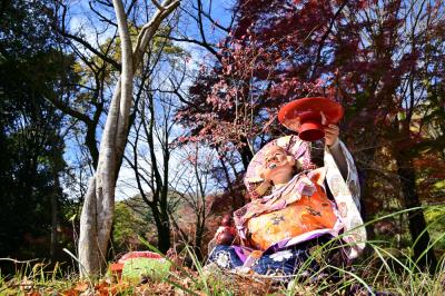 相模里神楽の紅葉の写真