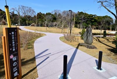 飯山白山森林公園の桜の広場の写真