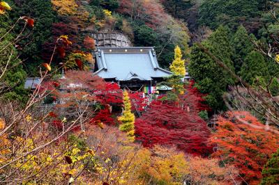 紅葉の大山寺