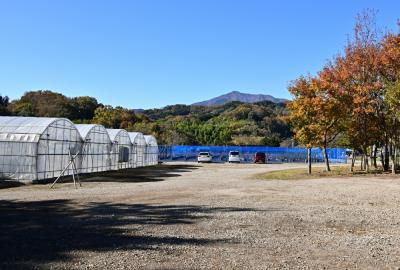 厚木農園の写真