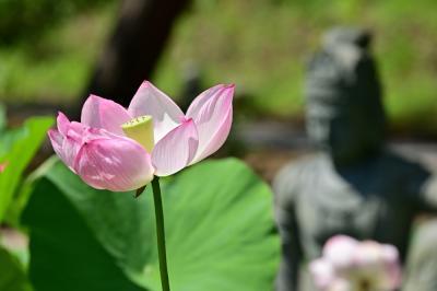 雲渓山常昌院の写真