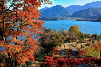 鳥居原エリア紅葉の写真