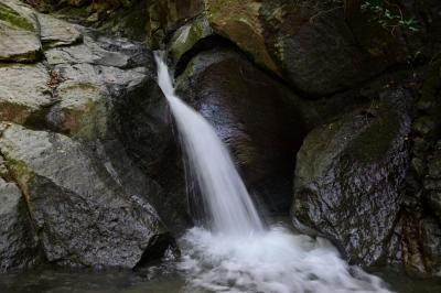 大釜弁財天の写真