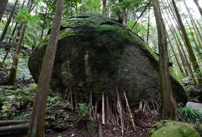 亀石の写真