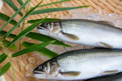 厚木あゆ種苗センターの写真