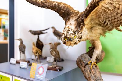 神奈川県自然環境保全センターの写真