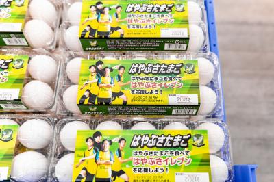 青空と大地食の市の写真