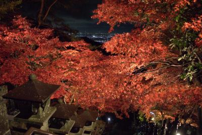大山の紅葉