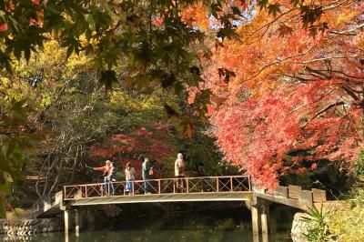 震生湖の紅葉の写真