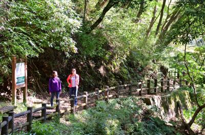 白山ハイキングコースの写真