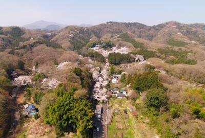 飯山白山森林公園の写真