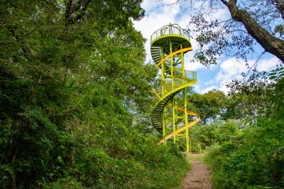 鳶尾山ハイキングコースの写真