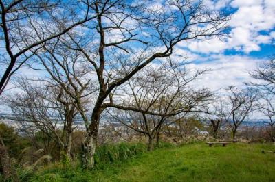 鳶尾山ハイキングコースの写真
