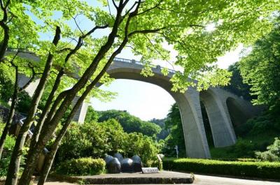 県立七沢森林公園の写真