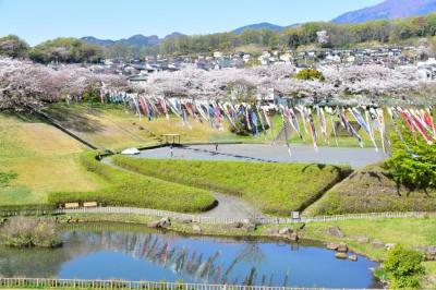 若宮公園の写真