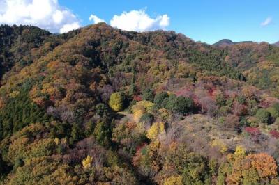 飯山白山森林公園の写真