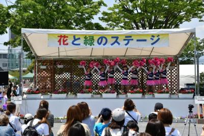 緑のまつりの写真