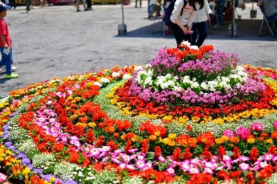 緑のまつりの写真