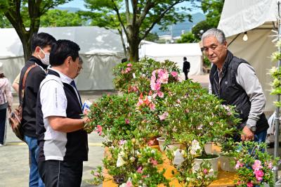 厚木市緑のまつりの写真