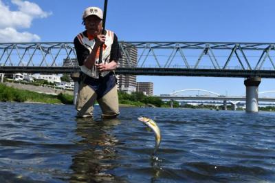 アユ釣りの写真