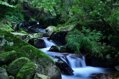 不動尻渓谷の写真