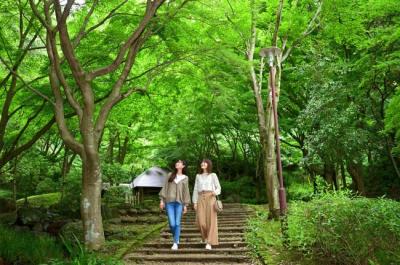 県立七沢森林公園の写真