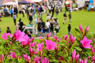 つつじの丘マルシェの様子