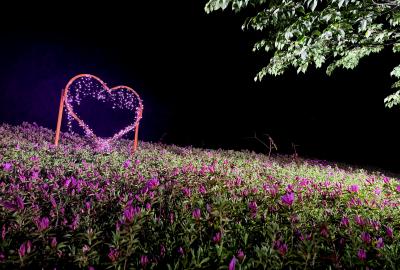 ライトアップ様子