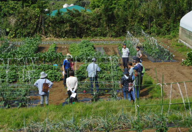 飯山楽菜園の写真