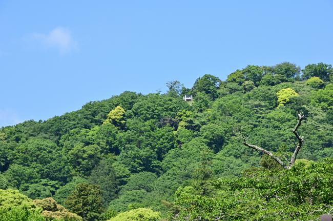 飯山白山の新緑の写真