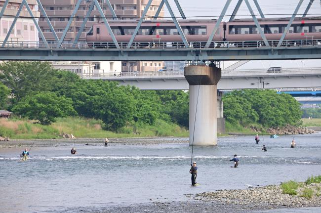 相模川のアユ釣りの写真