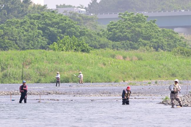 相模川のアユ釣りの写真