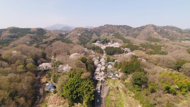 飯山観音長谷寺周辺の山々